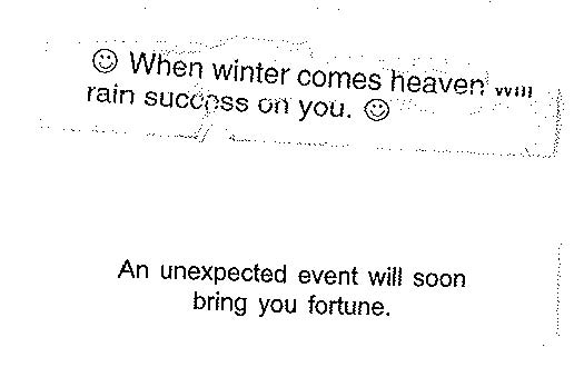 Fortune Cookies 2006